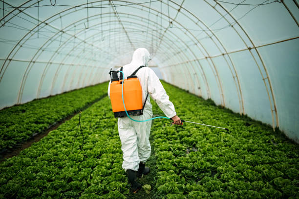 Best Pest Removal Services  in Harlan, IN