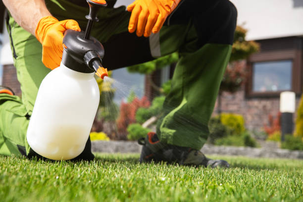 Best Local Pest Control Services  in Harlan, IN