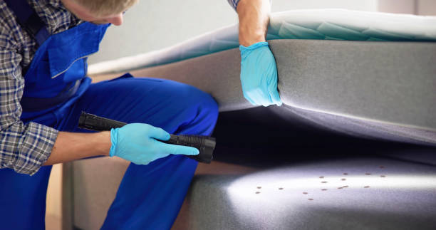 Best Residential Pest Control  in Harlan, IN