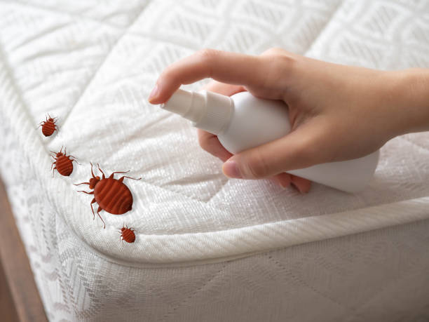Best Local Pest Control Services  in Harlan, IN