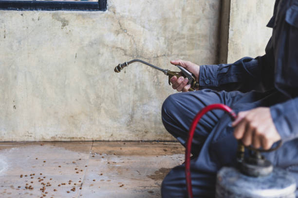 Best Exterminator Services  in Harlan, IN
